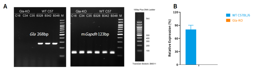 技术资料图片12