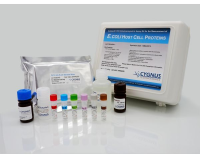 HPV16E7慢病毒含HA标签