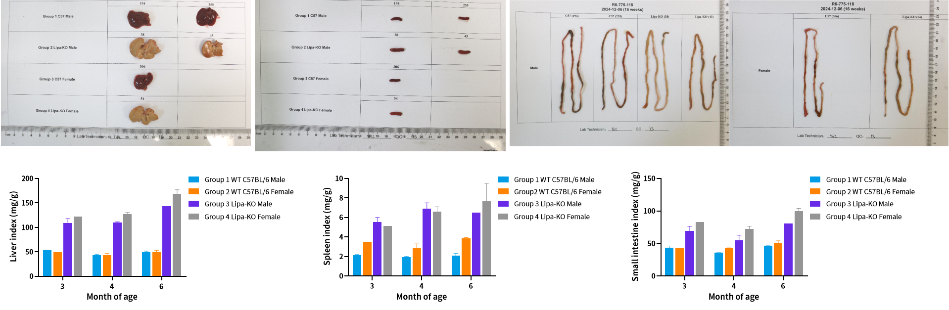 技术资料图片20
