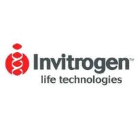 BMS2088*Invitrogen*Human Complement C5a ELISA Kit