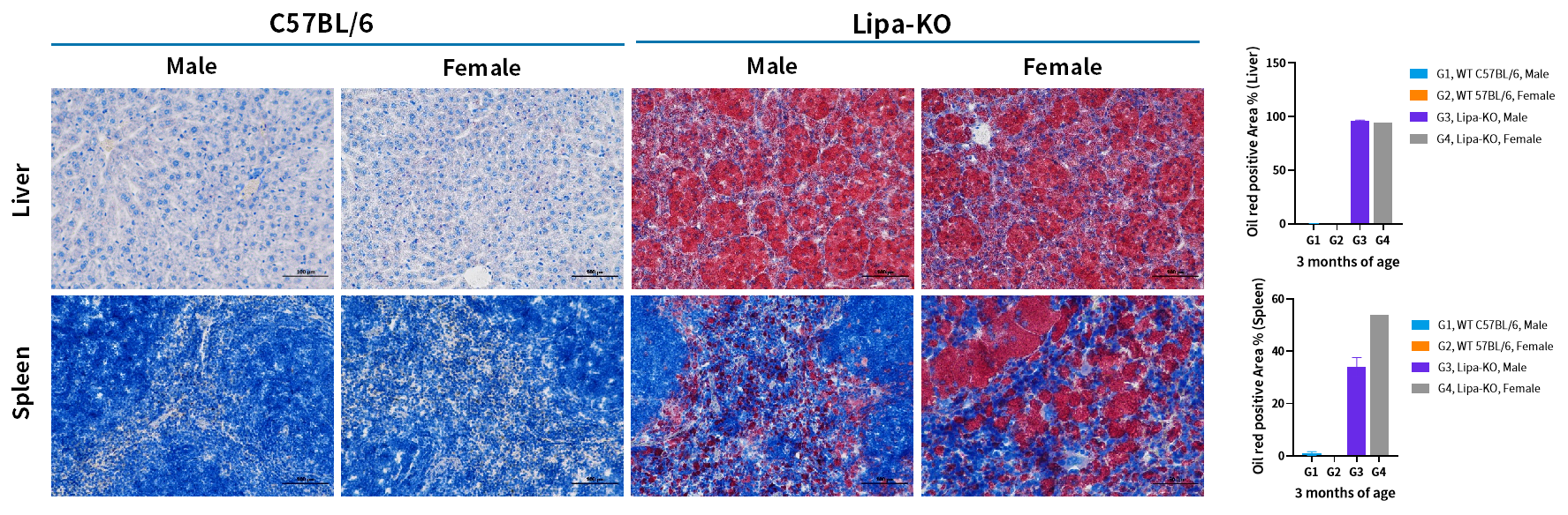 技术资料图片21