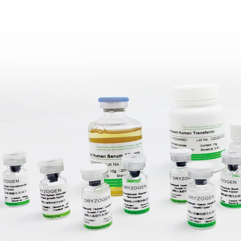 植物源重组人乳铁蛋白OsrhLF