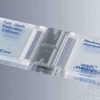 组织病理学耗材- 进口细胞计数板-10