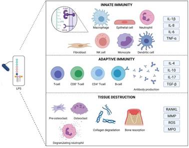 生物制药中的内毒素控制：一个关键的质量挑战
