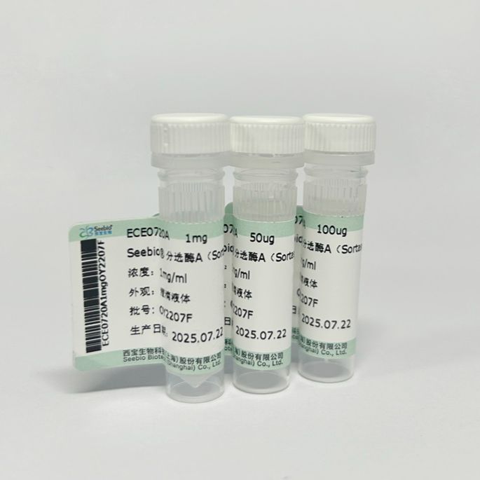 Seebio® 分选酶A（Sortase A）
