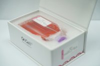 OriCell®野生型细胞系(肿瘤细胞系、正常细胞系)