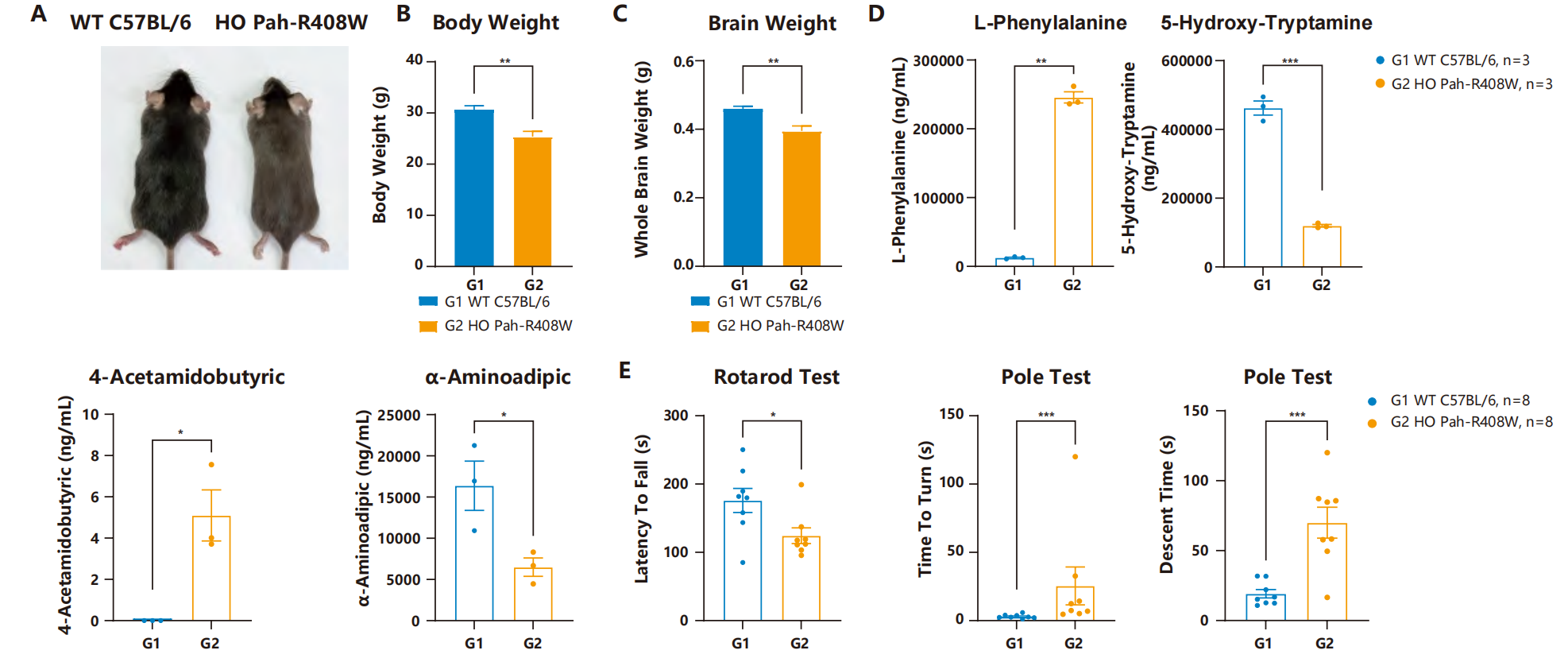 技术资料图片17