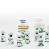 植物源重组人血清白蛋白OsrHSA（辅料级）