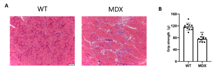 技术资料图片15