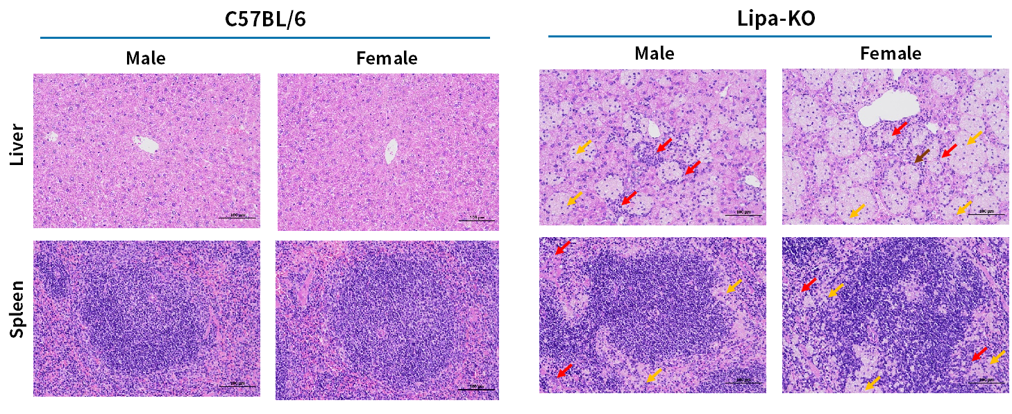 技术资料图片22