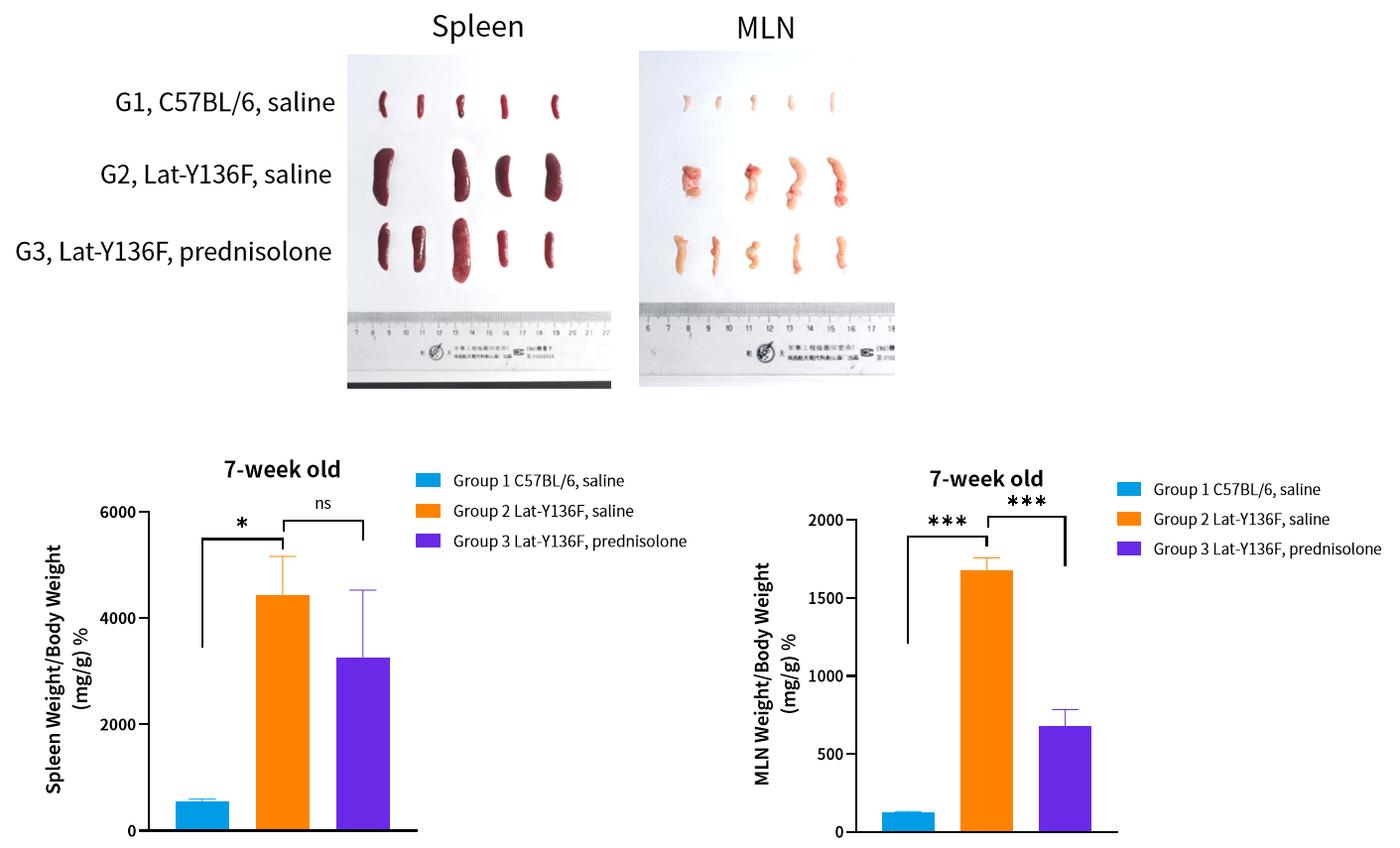 技术资料图片11