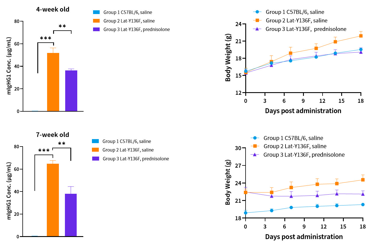 技术资料图片10