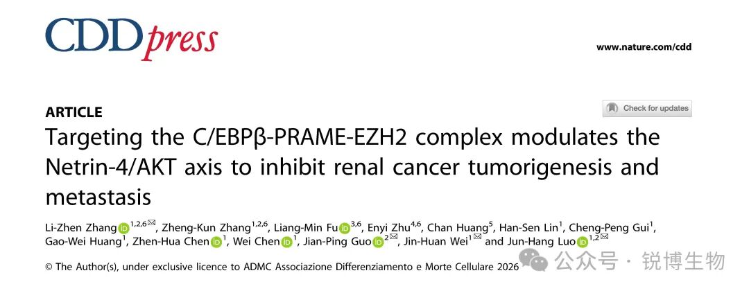 IF15.4 Nature子刊｜锐博siRNA助力揭示PRAME的功能及其驱动肾癌发生和转移的机制