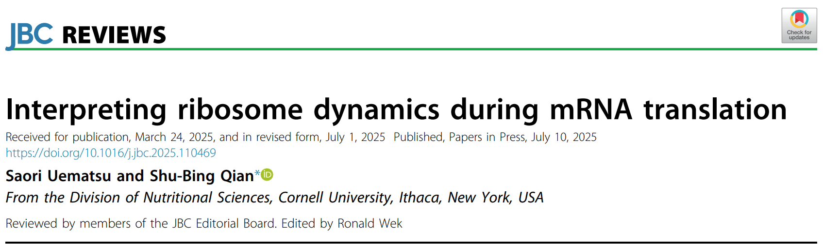 【翻译过程精讲】 | ：核糖体如何在mRNA上行驶、追尾，并引发细胞“大堵车”？