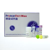ProteanFect CRISPRMax Ultra转染试剂盒