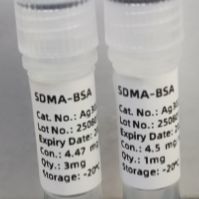 对称性二甲基精氨酸-BSA (SDMA-BSA)