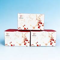 柠檬酸合酶（CS）试剂盒（分光光度法）