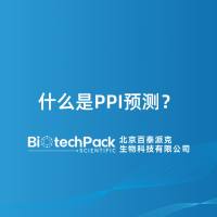 什么是PPI预测？