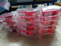 PK15-GFP猪肾细胞-绿色标记(附STR鉴定报告)