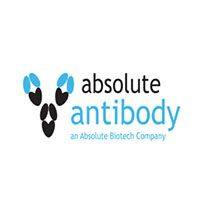 Anti-Mouse antibody kappa light chain [OX-20]