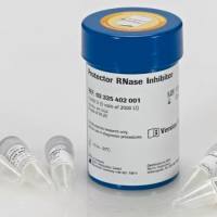 Roche货号3335399001现货Protector RNase抑制剂19121878899上海睿安生物Merck-Sigma-Millipore-Roche官方正式授权代理商
