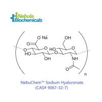 透明质酸钠 9067-32-10 | Sodium Hyaluronate (NaHy), 200-400kDa