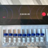 rLys-C 蛋白酶