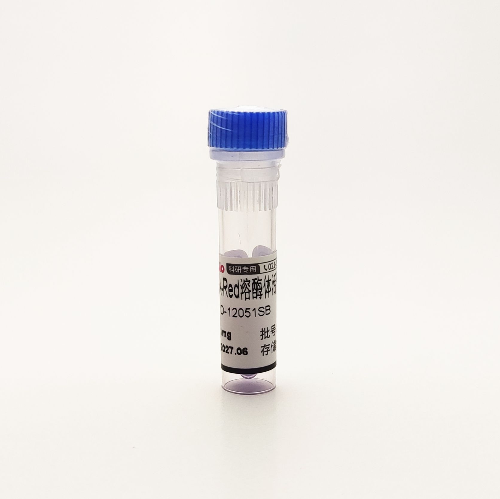 DQ-BSA-Red溶酶体活性检测 DQ-BSA-RED Lysozyme Assay Kit