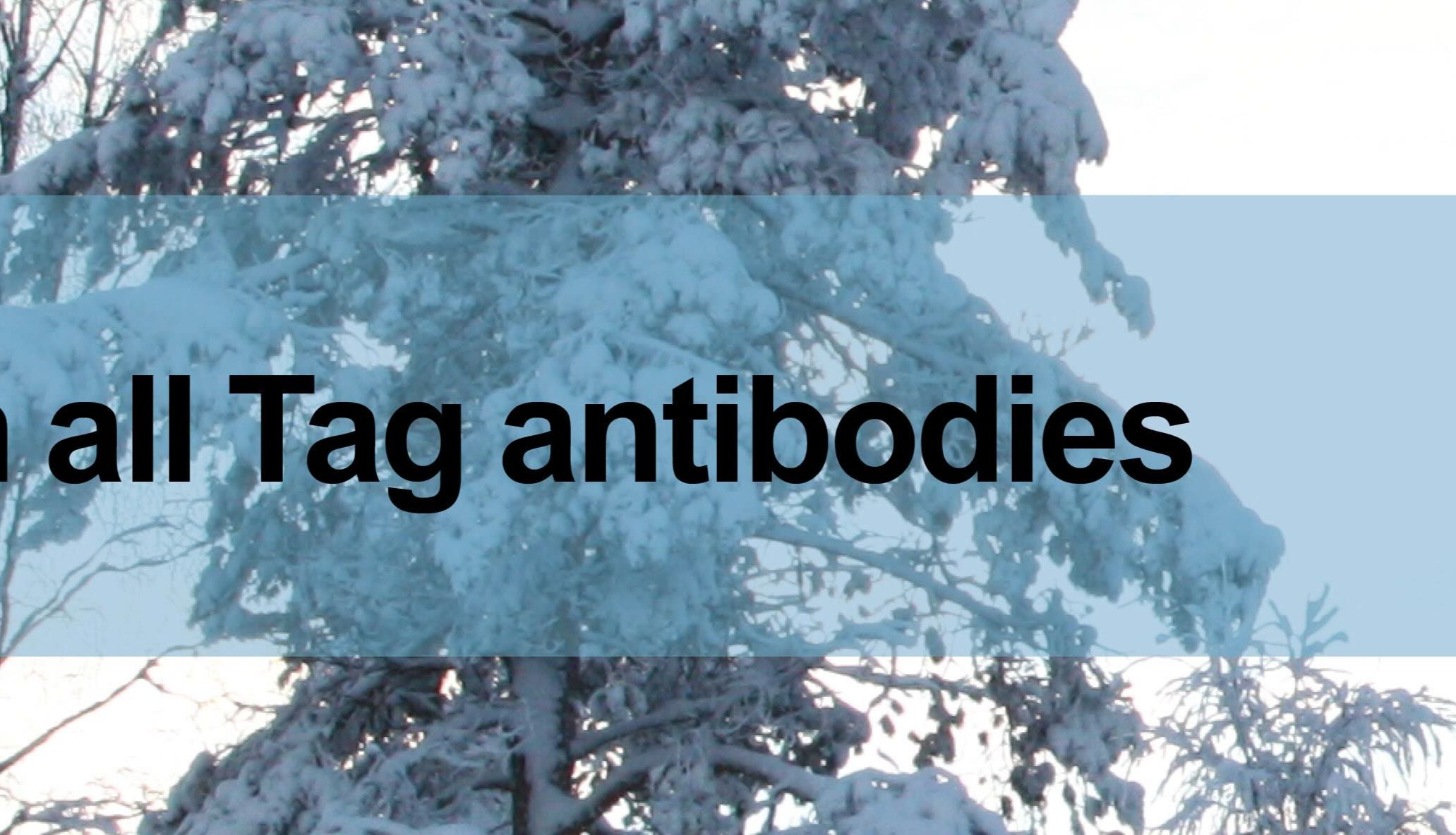 15% discount on all Tag antibodies