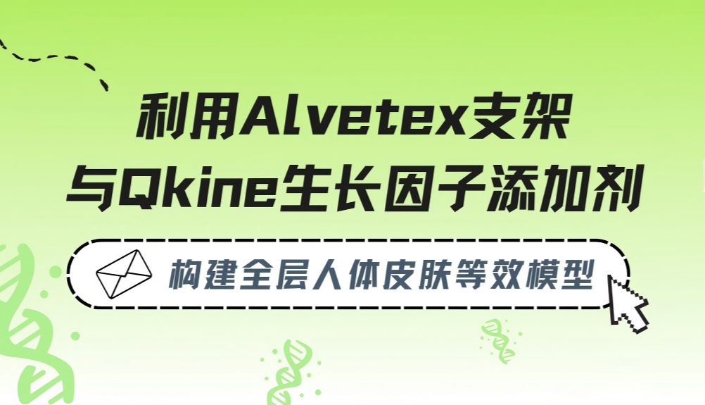 Qkine细胞因子｜全层人皮肤等效模型
