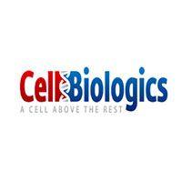 Complete Epithelial Cell Medium w/ Kit