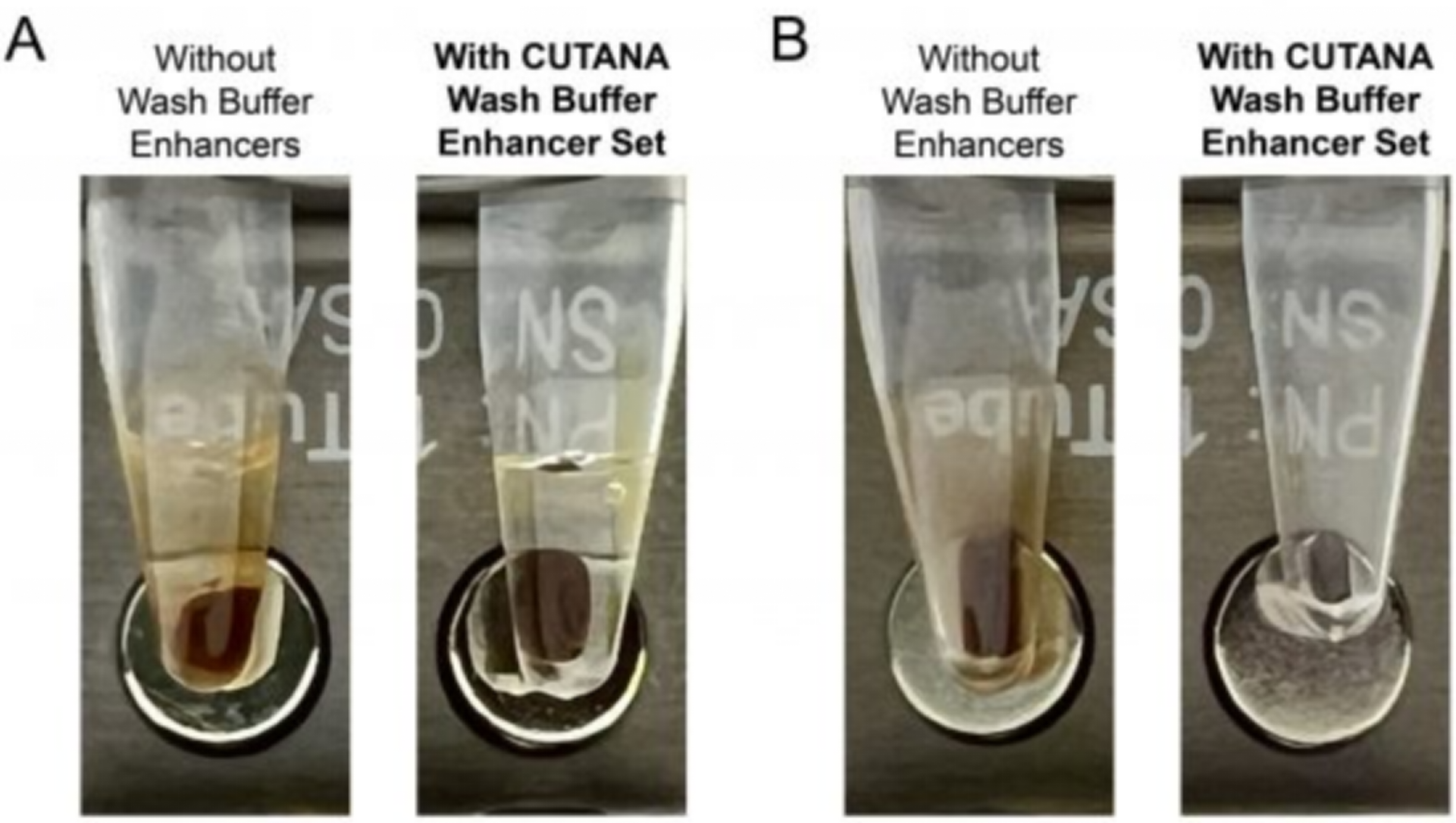 Epicypher CUT&amp;RUN试剂盒再升级