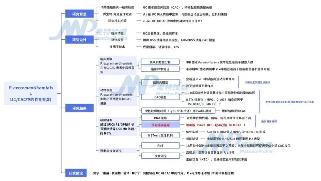 客户案例 | GUT：结肠炎患者福音！肠道高丰度Parasutterella菌+免疫陷阱=肠癌高风险，靶向干预有了新方向！