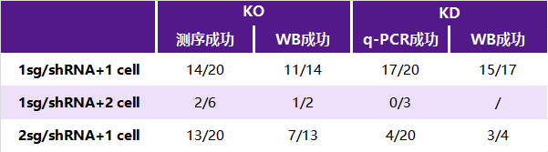 实验室论坛第10期丨抗体特异性验证金标准—KD与KO技术知多少？