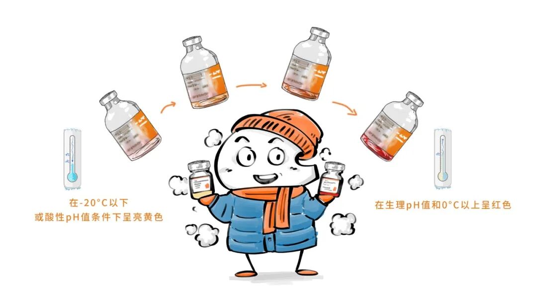 Corning Matrigel基质常见问题