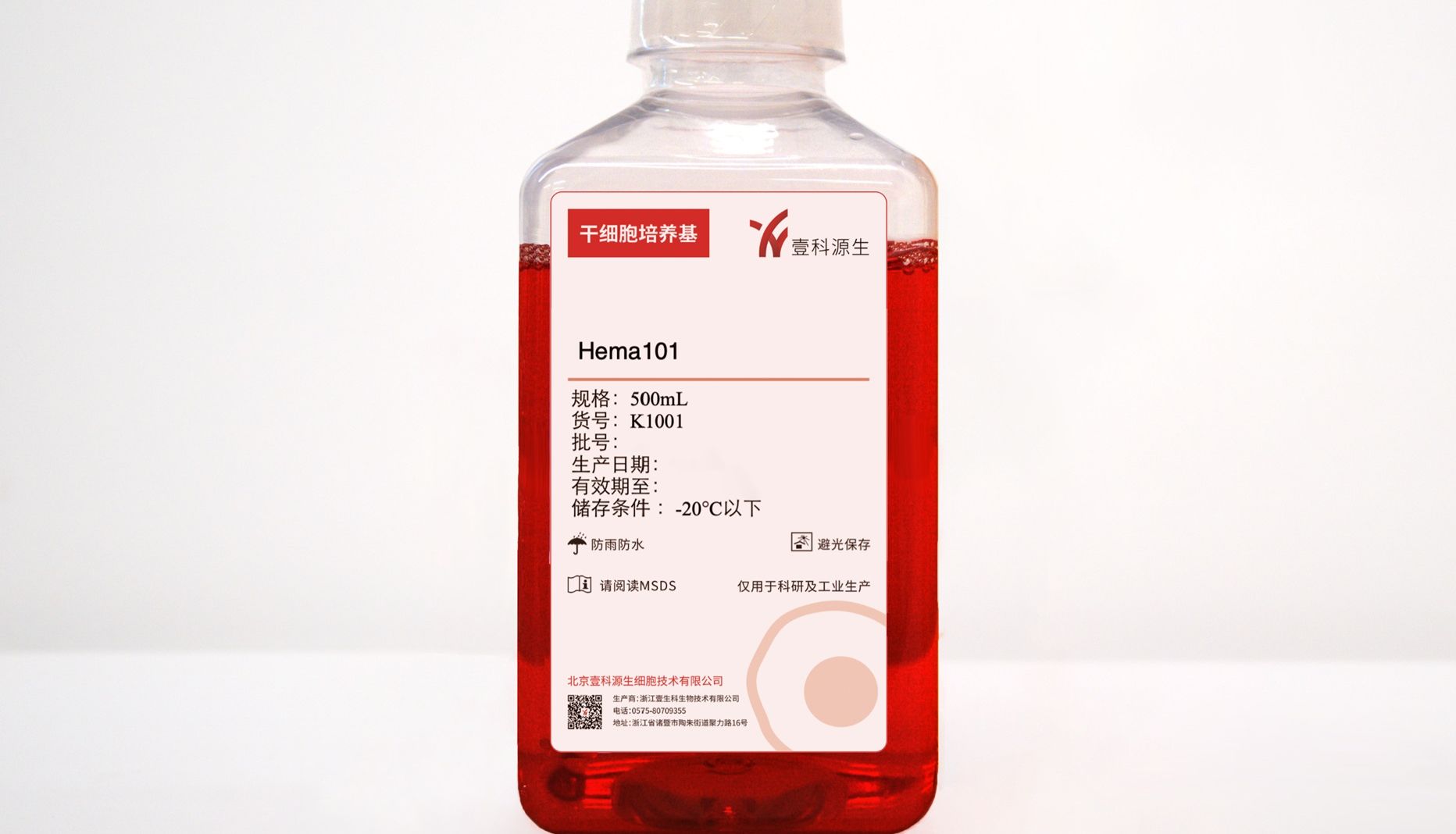 多能干细胞向髓系分化的研究进展