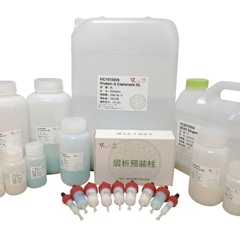 Phenyl Singarose HP