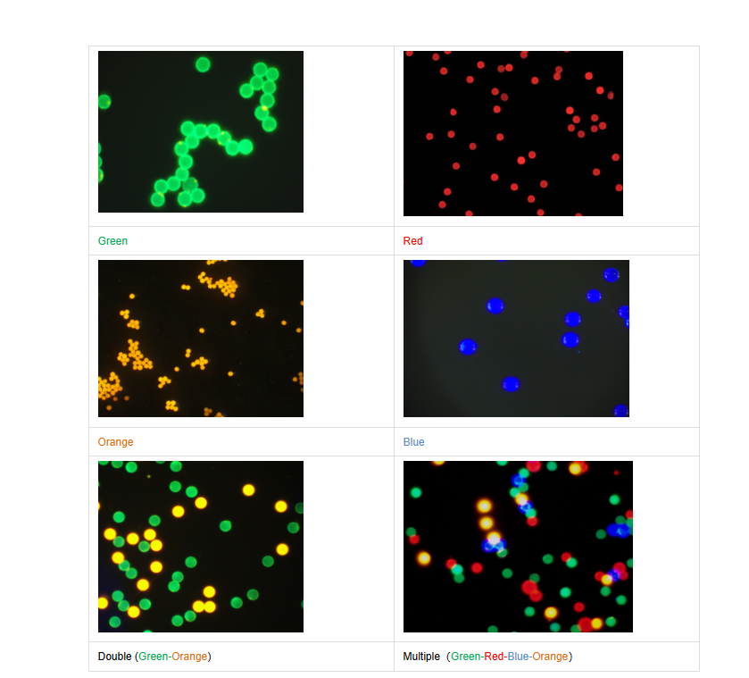 屏幕截图 2026-03-04 152007.png