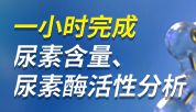 靛酚显色法！轻松搞定尿素代谢检测