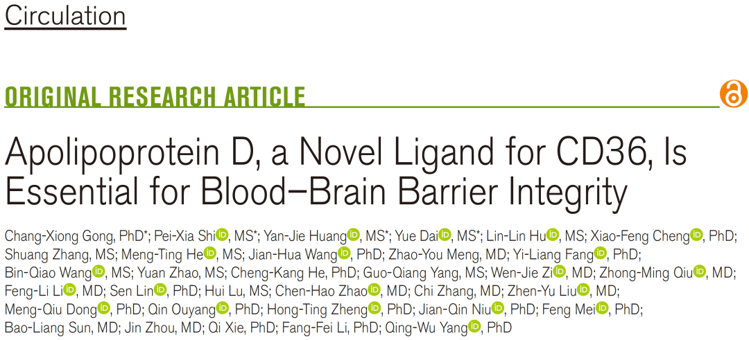 项目文章（Circulation）| 糖基化决定功能：ApoD重塑脑卒中后的血管命运