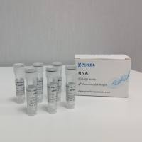 Cas9标准骨架脱盐级别 sgRNA/PBS10101