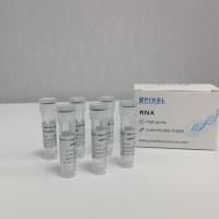 Cas9标准骨架 HPLC 级别 sgRNA/PBS10202