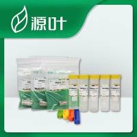 源叶 再生纤维素透析袋（3500）