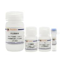 碧云天C0007 细胞凋亡-DNA Ladder抽提试剂盒