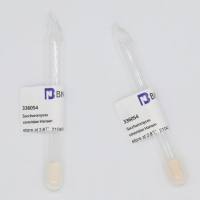 BNCC336054 酿酒酵母