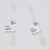 BNCC102555 表皮葡萄球菌