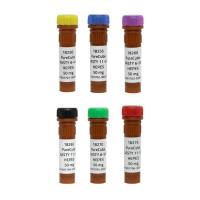 AASTY 筛查试剂盒（6x2x50 mg）