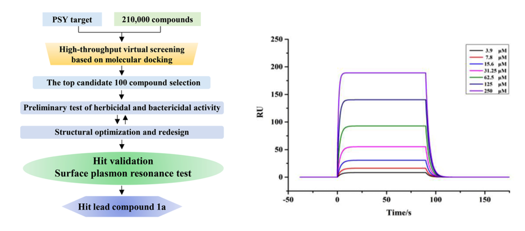 从作物安全到益虫友好：Biacore赋能绿色农药创新之路（上）