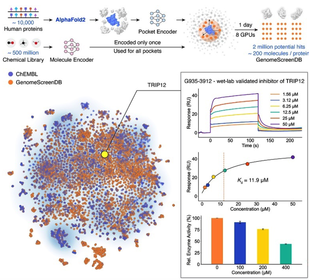 开年双顶刊：AI + SPR双轮驱动，分子发现迈入 “极速精准” 新纪元