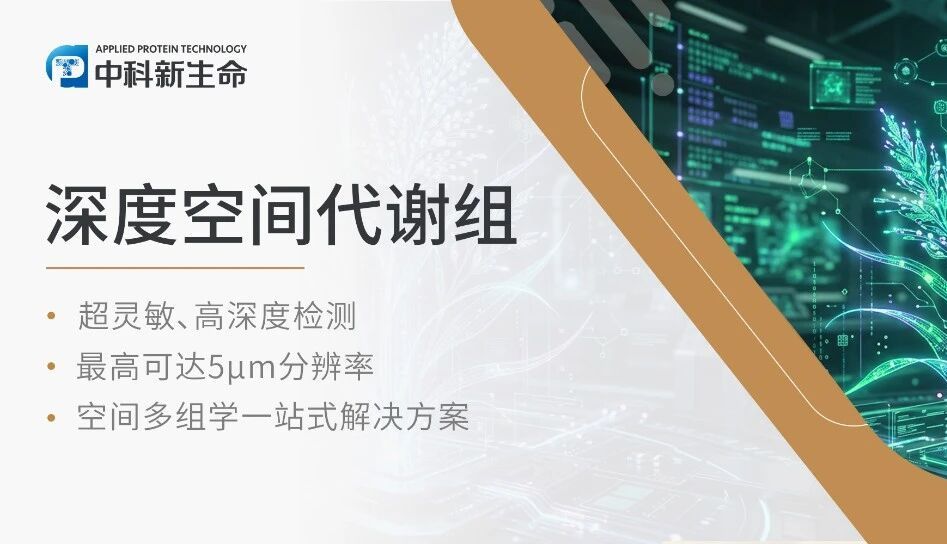 项目文章Nature Plants | 韩斌院士/王鹏研究员等揭秘野古草DC细胞发育和功能特性机制，赋能C3植物改造！